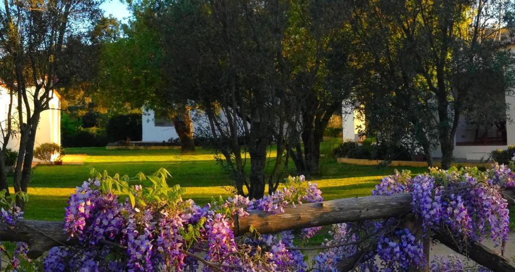 Agriturismo Li Scopi San Teodoro  Exterior photo