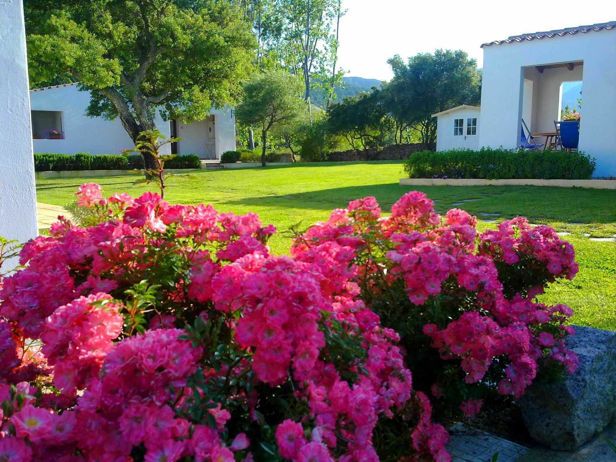 Agriturismo Li Scopi San Teodoro  Exterior photo
